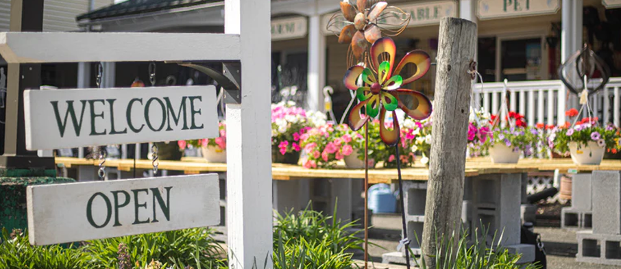 Flowers arrangement 2